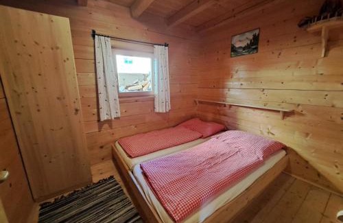 Hippach Ski Chalet | Chalet Nasenalmhütte by Interhome