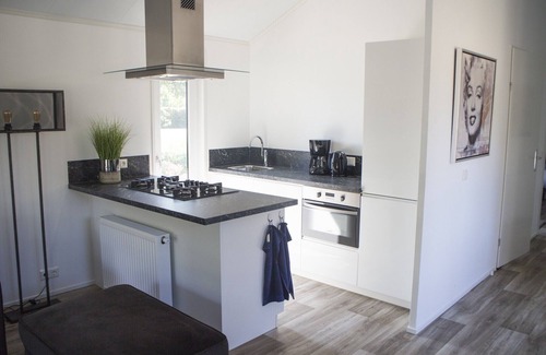 Biddinghuizen Ski Chalet | Chalet near Zuiderzee with Garden