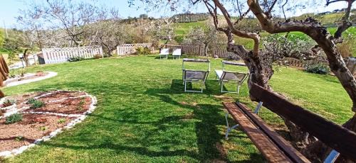 Silvi Bed & Breakfast | Chalet negli ulivi