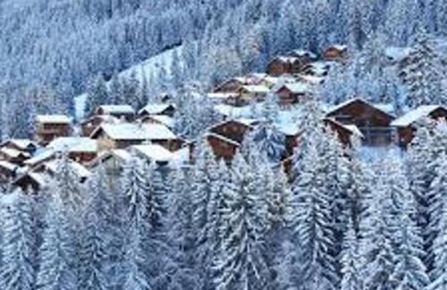 La Perriere Ski Chalet | Chalet Noëlla - Chalet traditionnel en bois à 250m des pistes, centre et animations, 14 pers - FR-1-513-60