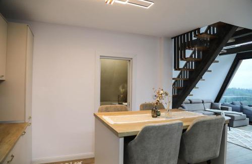 Vatra Moldovitei Ski Chalet | Chalet Palma