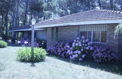 Pinamar Ski Chalet | Chalet Panda