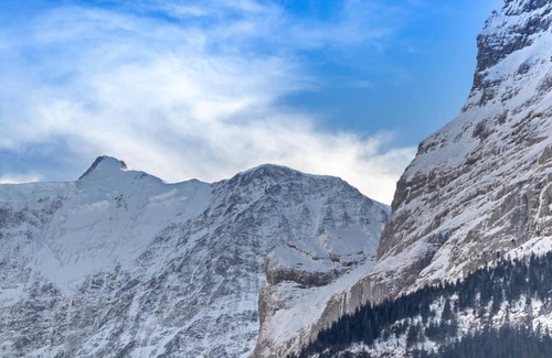 Gsteigwiler Apartment | Chalet Wäschhüsli near Interlaken, Grindelwald and Lauterbrunnen