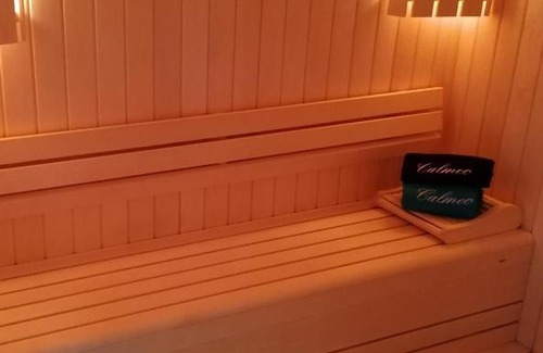 Peloux-Mail House | Chambre avec Spa et Sauna privatisés