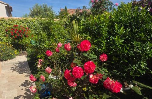 La Londe-les-Maures Bed & Breakfast | Chambre d'hôtes dans Villa Diane