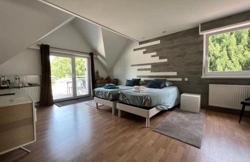 Schweighouse-sur-Moder House | Chambre Executive Luxe et Confort pour vos Séjours
