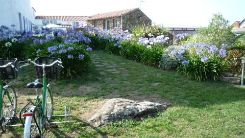 Ile d'Yeu Bed & Breakfast | Chambres d'hôtes - Chez Stephane