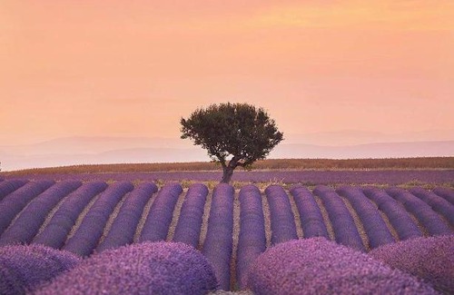 Sault House | Chambres entre Ventoux et luberon