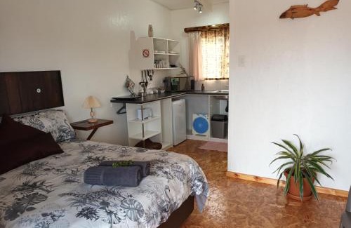 Colchester Apartment | Chameleon Lodge