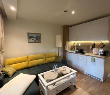 Samokov Apartment | Chamkoria Forest View & Spa