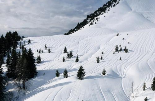Les Carroz-d'Araches Apartment | Charmant appartement dans chalet