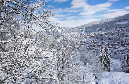 Meribel-Mottaret Apartment | Charmant Appartement à Meribel: 2 Pièces, 4 Pers, Ski aux Pieds, Proche Commerces, Balcon - FR-1-182-1