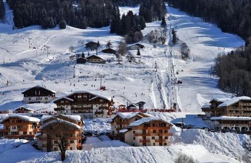 Flumet Apartment | Charmant appartement au pied des pistes avec piscine et parking - FR-1-505-13