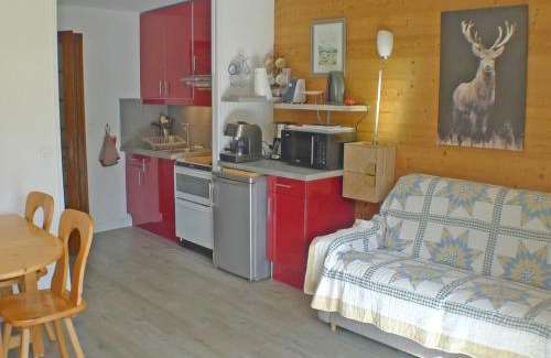 Samoens Apartment | Charmant studio avec terrasse, jardin et parking, proche télécabine - FR-1-629-86