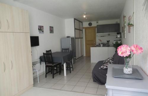 Le Grau-Du-Roi Apartment | Charmant Studio Cabine avec Jardin - Proche Plage et Commerces - Parking Sécurisé - FR-1-307-118