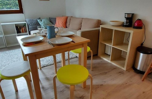 Samoens Apartment | Charmant studio, proche centre et ski-bus, avec jardin et WIFI – idéal pour 4 personnes - FR-1-624-56