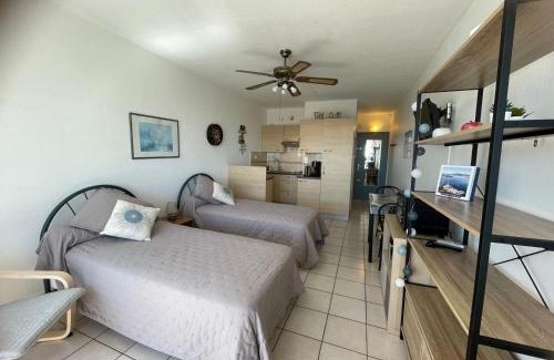 Balaruc-les-Bains Apartment | Charmant T2 avec balcon, clim et animaux admis à Balaruc-les-Bains - FR-1-503-85