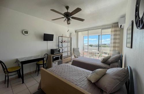 Balaruc-les-Bains Apartment | Charmant T2 avec balcon, clim et animaux admis à Balaruc-les-Bains - FR-1-503-85