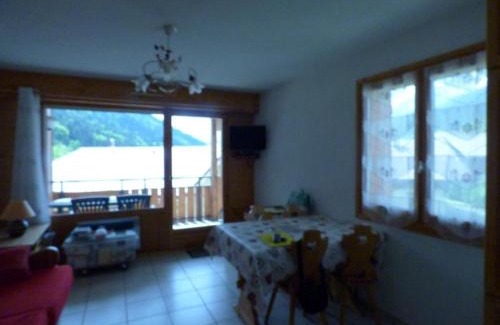Saint-Jean-de-Sixt Apartment | Charmant T2 + cabine, 6 pers, garage, près des stations La Clusaz et Le Grand-Bornand - FR-1-458-94
