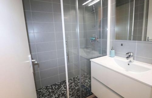 Le Grau-Du-Roi Apartment | Charmant T2 Cabine climatisé avec terrasse, parking à 100m de la plage - FR-1-307-111
