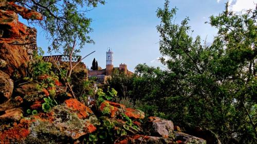 Monsaraz House | Charme de Monsaraz