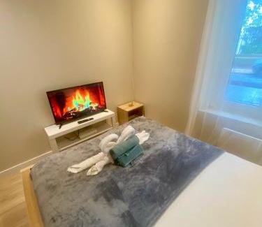 Le Parc Saint-Maur Apartment | Charme et Confort : T2 Lumineux