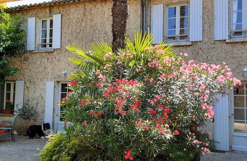 Chateauneuf-sur-Charente Cottage | Charming Riverside Gite, Spacious Garden, Terrace, Close to Nature and Activities
