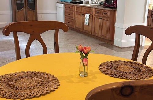 Arlington Apartment | Charming 1-bedroom apartment in fabulous Arlington with AC