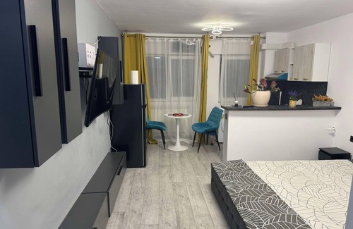 Craiova Apartment | Charming 1-bedroom apartment with full kitchen AC WiFi and Netflix in Craiova