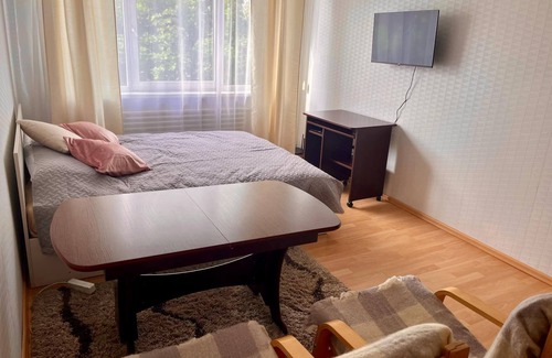 Kaunas Apartment | Charming 1-bedroom apartment in delightful Kaunas with WiFi