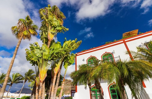 Lomo Quiebre Apartment | Charming 1 Bedroom Apartment in Puerto de Mogán