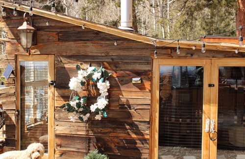 Bailey Cabin | Charming 1-bedroom Miner's Cabin For Mountain Adventurers in Colorado with Wi-Fi