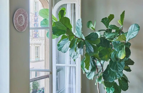 Pigalle Apartment | Charming 1-bedroom next to rue des Martyrs