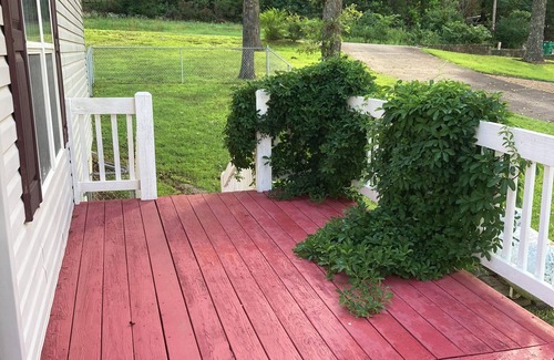 Cherokee Village House | Charming 2-bdrm house with AC, WiFi in Cherokee Village with amazing river views