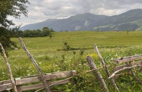 Ganisi Cottage | Charming 2-bedroom cottage in beautiful near Gudauri with WiFi