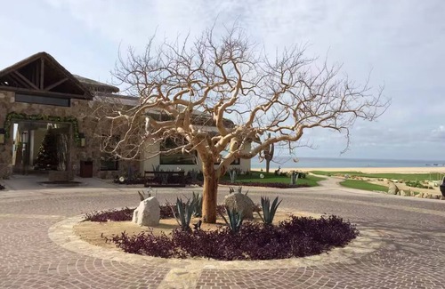 Libertad Villa | Charming 3-bedroom villa with tons of amenities, free WiFi in Cabo San Lucas