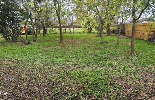 Clodine House | Charming 3-bedroom house with Backyard