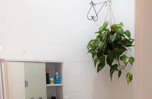 Flamengo Apartment | Charming and Complete Apartment 2 Bedrooms in the Heart of Flamengo.