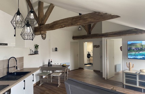 Fontenay-le-Comte Apartment | Charming apartment with SPA