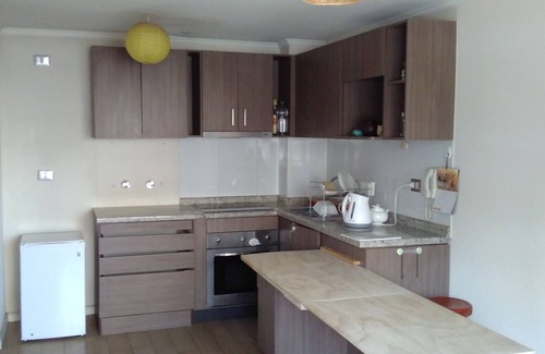 Downtown Santiago Apartment | Charming apartment near Santa Isabel Metro Station in wonderful Santiago Chile