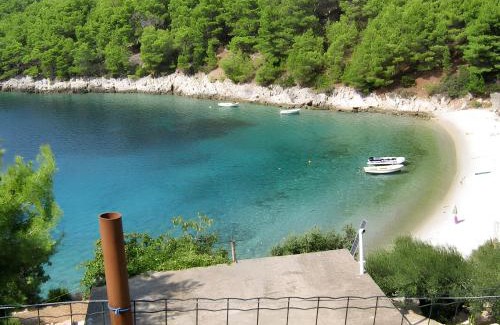 Gdinj Apartment | Charming Apartment with Sea View, Gdinj, 70 m², Garden