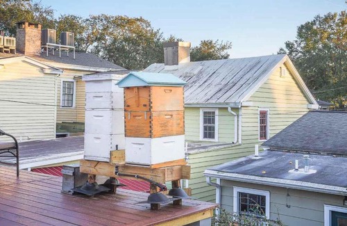 Beach Institute House | Charming Charlton by Lucky Savannah