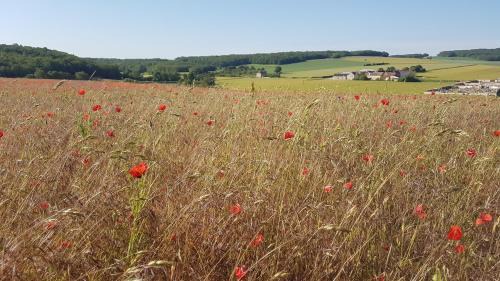 Sougeres-en-Puisaye House | Charming Cottage in Chauminet