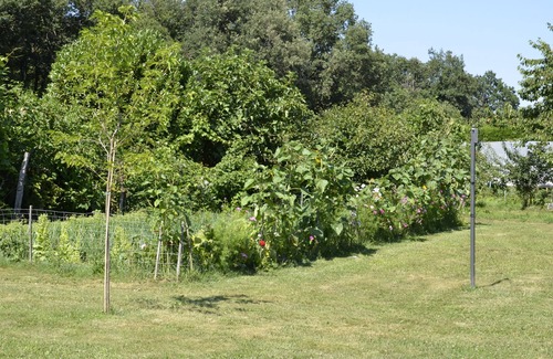 Marsaneix House | Charming country house in the heart of Périgord Blanc.