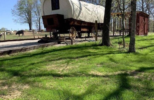 Lindseyville House | Charming Covered Wagon on Live Petting Zoo for Memorable Family Glamping Stays in Brownsville, Kentucky
