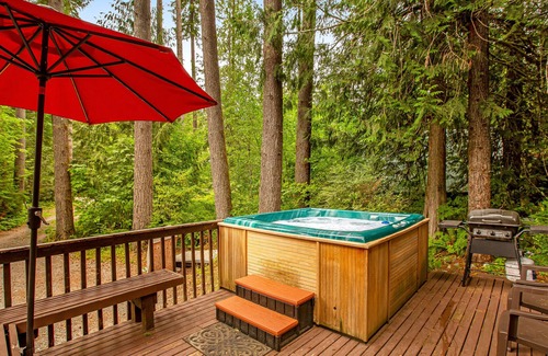 Skykomish Cabin | Charming dog-friendly cabin with mountain view, grill, & hot tub