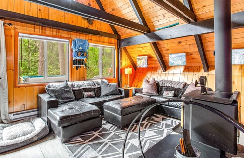 Skykomish Cabin | Charming dog-friendly cabin with mountain view, grill, & hot tub