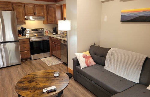Bryson City Apartment | Charming Downtown Bryson City SkyLoft Apt 1 - Perfect for Couples!