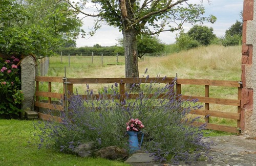 Mercy Cottage | Charming Farmhouse with Heated Pool, Close to Nature and Family Attractions