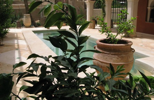 Ksar el Borj House | Charming guest house